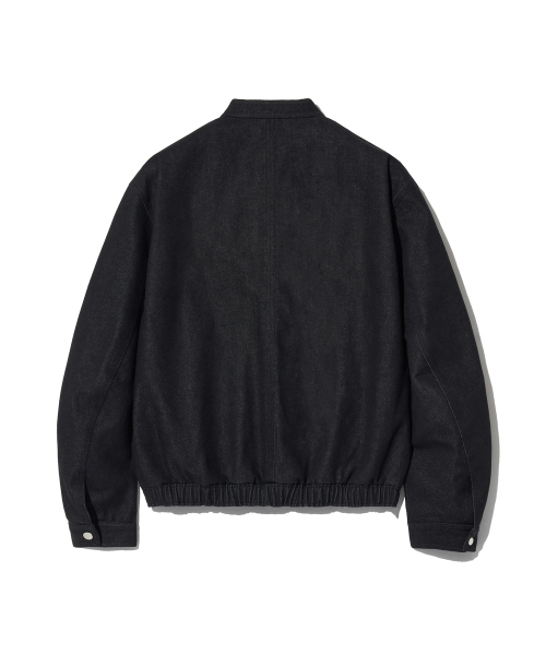 Diamond Layla(ダイアモンドレイラ)の「Mood Biker Denim Jacket J32 Black Denim(デニムジャケット・レディース・その他・LARGE/MEDIUM)」の2枚目の写真