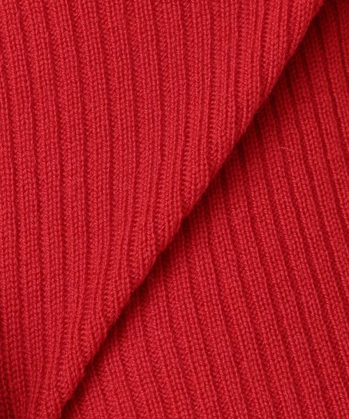 Spick & Span（スピックアンドスパン）の「WOOL RIB CREW◆（ニット/セーター・レディース・ホワイト/ブラック/レッド/マルチ・FREE）」の10枚目の写真