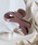 ANEMONE�i�A�l���l�j�́u�_�X�e�B�[�J���[�̃��{���o���X�i�o���b�^/�w�A�N���b�v�j�v�b�p�[�v��