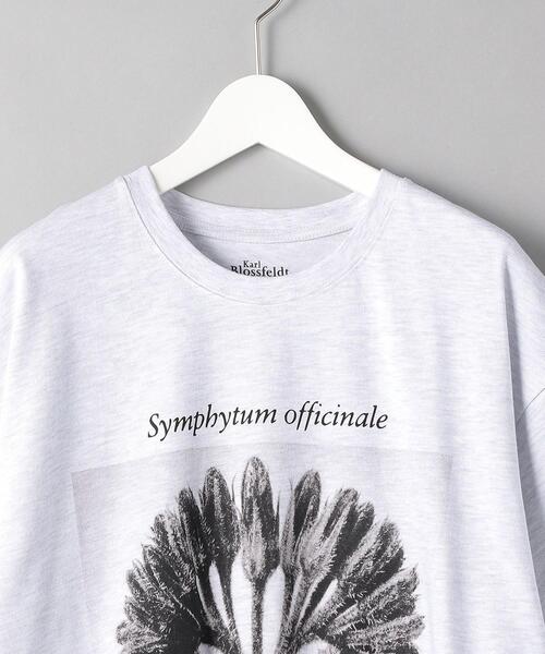 BEAUTY&YOUTH UNITED ARROWS（ビューティーアンドユースユナイテッドアローズ）の「【別注】＜KarlBlossfeldt＞PRINT T3/Tシャツ（Tシャツ/カットソー・メンズ・ライトグレー・X-LARGE/SMALL/LARGE/MEDIUM）」の7枚目の写真