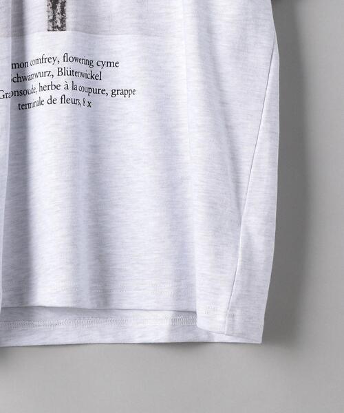 BEAUTY&YOUTH UNITED ARROWS（ビューティーアンドユースユナイテッドアローズ）の「【別注】＜KarlBlossfeldt＞PRINT T3/Tシャツ（Tシャツ/カットソー・メンズ・ライトグレー・X-LARGE/SMALL/LARGE/MEDIUM）」の8枚目の写真