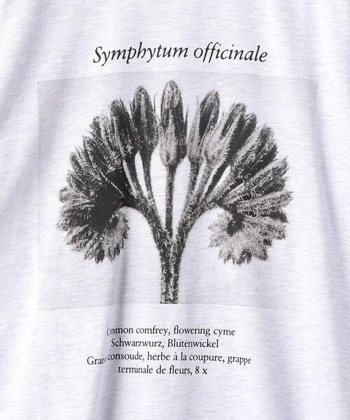 BEAUTY&YOUTH UNITED ARROWS（ビューティーアンドユースユナイテッドアローズ）の「【別注】＜KarlBlossfeldt＞PRINT T3/Tシャツ（Tシャツ/カットソー・メンズ・ライトグレー・X-LARGE/SMALL/LARGE/MEDIUM）」の5枚目の写真