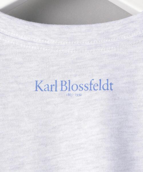 BEAUTY&YOUTH UNITED ARROWS（ビューティーアンドユースユナイテッドアローズ）の「【別注】＜KarlBlossfeldt＞PRINT T3/Tシャツ（Tシャツ/カットソー・メンズ・ライトグレー・X-LARGE/SMALL/LARGE/MEDIUM）」の2枚目の写真