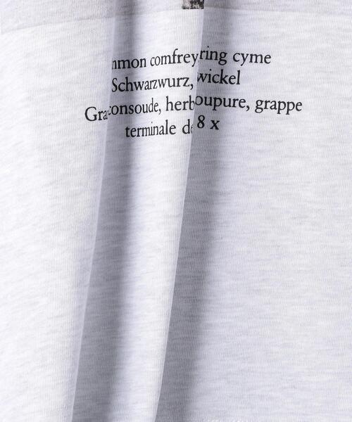 BEAUTY&YOUTH UNITED ARROWS（ビューティーアンドユースユナイテッドアローズ）の「【別注】＜KarlBlossfeldt＞PRINT T3/Tシャツ（Tシャツ/カットソー・メンズ・ライトグレー・X-LARGE/SMALL/LARGE/MEDIUM）」の9枚目の写真
