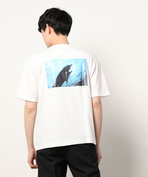 Right-on（ライトオン）の「ネイチャーフォトＴシャツ（Tシャツ/カットソー・メンズ・ホワイト/その他2/その他3/その他1・M/L）」の9枚目の写真