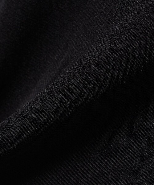 SHIPS(シップス)の「* 〈手洗い可能〉シアー メッシュ ハイネック ショート スリーブ◆(Tシャツ/カットソー・レディース・ブラック/アイボリー/ダークグレー・ONE SIZE)」の18枚目の写真
