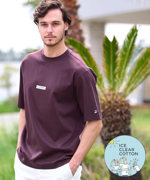 DRESSTERIOR(ドレステリア)の「【接触冷感/抗菌防臭/消臭】ICE CLEAR COTTON NINEストリートTシャツ(Tシャツ/カットソー・メンズ・ブラック/ホワイト/ブラウン系その他/カーキ・90/91/92/94)」の3枚目の写真