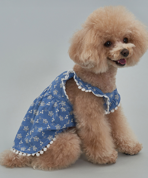子犬 フラワー刺繍 ワンピース ブルー（ペットウェア）｜DOGI（ドッグ