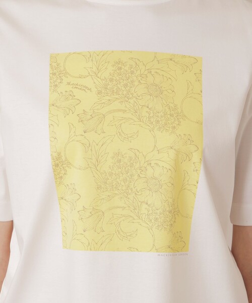 MACKINTOSH LONDON（マッキントッシュ ロンドン）の「【BIBURY FLOWER】カラーバイブリーコットンTシャツ（Tシャツ/カットソー・レディース・イエロー/ベージュ・40/38）」の9枚目の写真