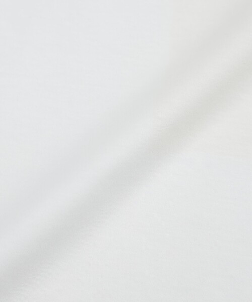 MACKINTOSH LONDON（マッキントッシュ ロンドン）の「【BIBURY FLOWER】カラーバイブリーコットンTシャツ（Tシャツ/カットソー・レディース・イエロー/ベージュ・40/38）」の11枚目の写真