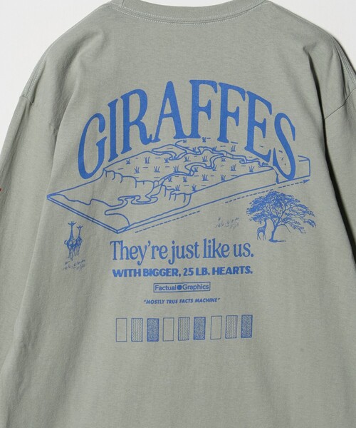 Steven Alan(スティーブンアラン)の「<Factual Graphics> GIRAFFE LS/Tシャツ(Tシャツ/カットソー・メンズ・グレー系・L/XL)」の7枚目の写真