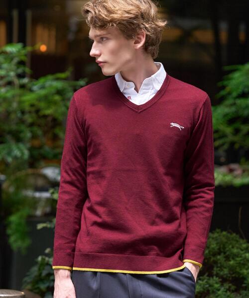 DRESSTERIOR（ドレステリア）の「ゼニアバルーファ キャッシュウール Vネックプルオーバー（Tシャツ/カットソー・メンズ・ボルドー/ネイビー・94/92/91/90）」の3枚目の写真