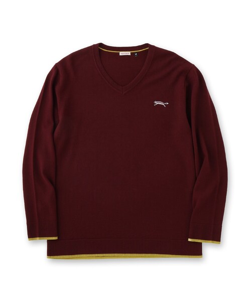 DRESSTERIOR（ドレステリア）の「ゼニアバルーファ キャッシュウール Vネックプルオーバー（Tシャツ/カットソー・メンズ・ボルドー/ネイビー・94/92/91/90）」の15枚目の写真