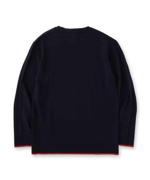 DRESSTERIOR（ドレステリア）の「ゼニアバルーファ キャッシュウール Vネックプルオーバー（Tシャツ/カットソー・メンズ・ボルドー/ネイビー・94/92/91/90）」の17枚目の写真