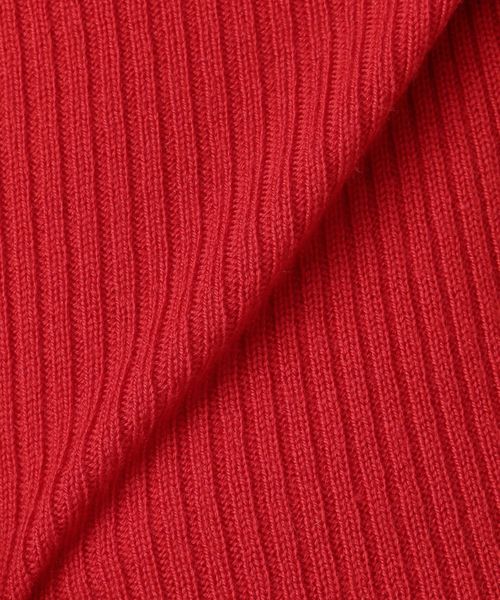 Spick & Span（スピックアンドスパン）の「WOOL RIBタートルネック◆（ニット/セーター・レディース・ホワイト/ブラック/レッド/マルチ・FREE）」の15枚目の写真