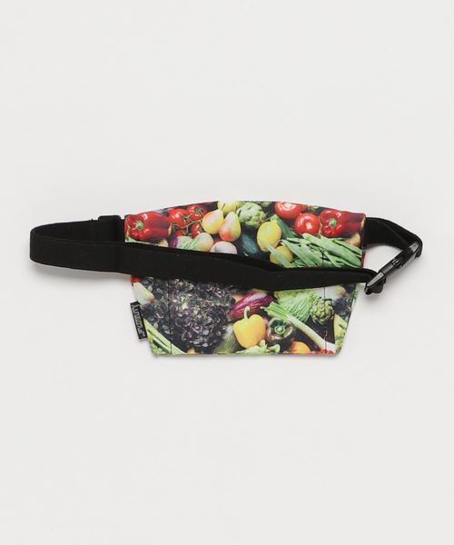 go slow caravan（ゴースローキャラバン）の「FYDELITY/フィデリティー 　PRINTED BUM BAG（ショルダーバッグ・レディース・チャコールグレー/ベージュ/ライトグリーン/ライトイエロー/ピンク/レッド/オレンジ系その他/オレンジ系その他2/カモフラージュ/その他/その他1/その他3/カラフル/チェック/その他2/ライトベージュ・FREE）」の19枚目の写真