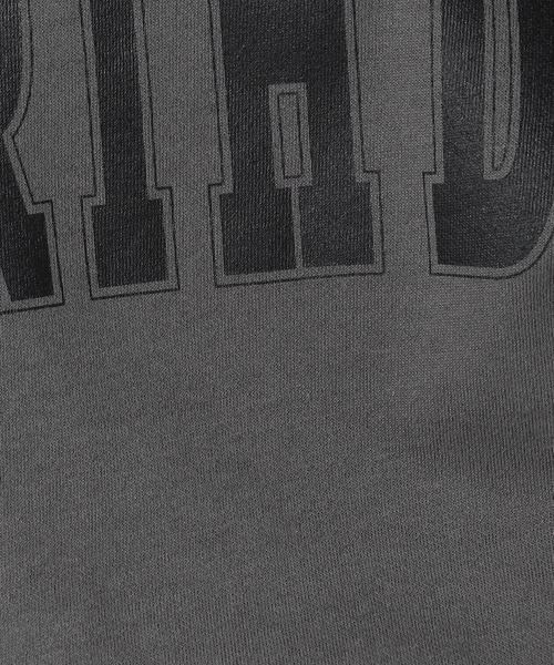 Grand PARK(グランドパーク)の「ロゴ入り ラウンドヘムTシャツ(Tシャツ/カットソー・レディース・レンガ/ライトグリーン/ホワイト/ダークグリーン・FREE)」の17枚目の写真