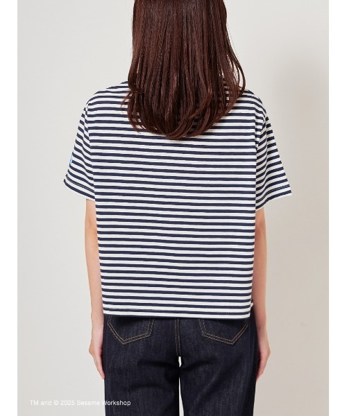 SESAME STREET(セサミストリート)の「【LADIES】マリンボーダー コットンプルオーバー(Tシャツ/カットソー・レディース・グリーン/レッド/ピンク/イエロー/ネイビー・F)」の14枚目の写真