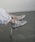 ROCKFISH WEATHERWEAR�i���b�N�t�B�b�V���E�F�U�[�E�F�A�j�́uBANDING BALLET FLAT�i�o���G�V���[�Y�j�v�b�O���[