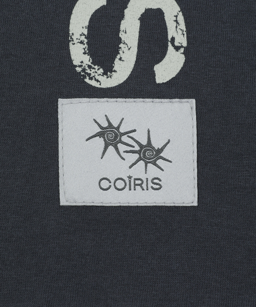 COIRIS(コイリス)の「コイロサイドクラックレタリング半袖Tシャツ(Tシャツ/カットソー・レディース・チャコールグレー・FREE)」の5枚目の写真