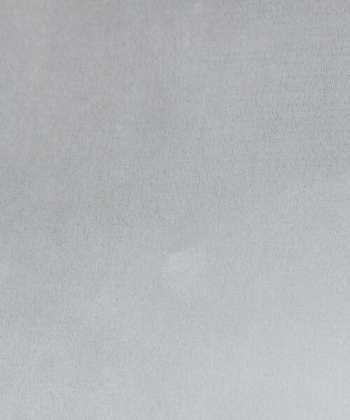 OPAQUE.CLIP(オペークドットクリップ)の「フロッキーチュールカットソー【洗濯機OK】(Tシャツ/カットソー・レディース・ライトグレー/チャコールグレー/ブラウン系その他・42/40/38)」の5枚目の写真