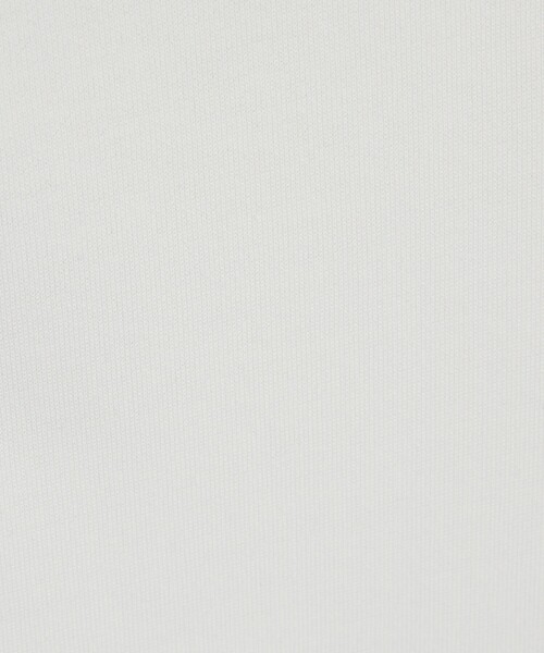 ABAHOUSE(アバハウス)の「【快適速乾】ALL SEASON COTTON Vネック スキッパーTシャツ / ヘンリーネック(Tシャツ/カットソー・メンズ・ホワイト/ブラック/グレイッシュベージュ/グレイッシュブルー・44/46/48)」の12枚目の写真