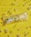Wpc.i_us[V[j́u[plantica×Wpc.]t[AuvXeBbN ~j rj[P ܂肽݁i܂肽ݎPjvbCG[
