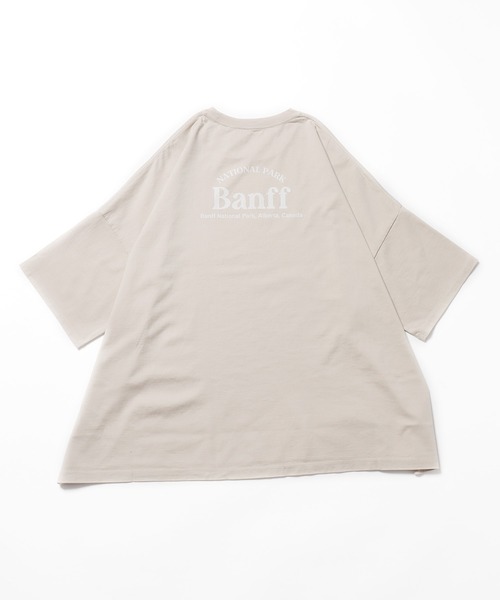 【美品】  TICCA / ティッカ | クルーネック ロングスリーブ Tシャツ カットソー | F | オフホワイト | レディース 美品】 TICCA / ティッカ | クルーネック ロングスリーブ Tシャツ