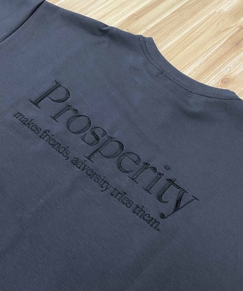 TopIsm(トップイズム)の「ロゴ刺繍入り 半袖スウェット(スウェット・メンズ・ブルー系その他/チャコールグレー/ブラック・LL/M/L)」の9枚目の写真