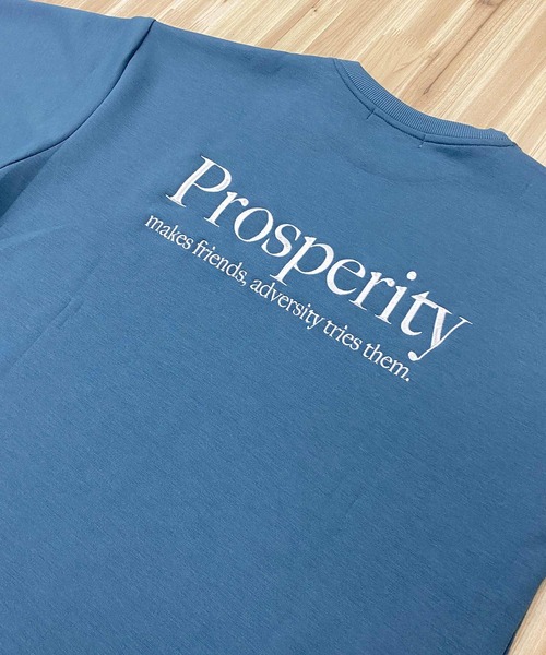 TopIsm(トップイズム)の「ロゴ刺繍入り 半袖スウェット(スウェット・メンズ・ブルー系その他/チャコールグレー/ブラック・LL/M/L)」の12枚目の写真