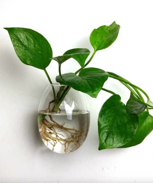 A Little Happiness(AgnslX)Small Glass Vase(t[x[X)