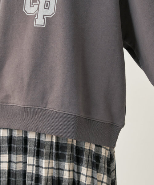 natural couture（ナチュラルクチュール）の「SPRING FIELD 裏毛TOPS（ニット/セーター・レディース・オートミール/ブルー/チャコールグレー・FREE）」の14枚目の写真