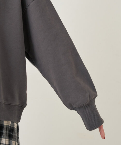 natural couture（ナチュラルクチュール）の「SPRING FIELD 裏毛TOPS（ニット/セーター・レディース・オートミール/ブルー/チャコールグレー・FREE）」の15枚目の写真