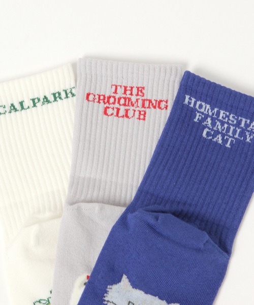 A part by（アパートバイ）の「ハッスイSOX（ソックス/靴下・レディース・アイボリー/ブラック/ライトグレー/ブルー・FREE）」の10枚目の写真