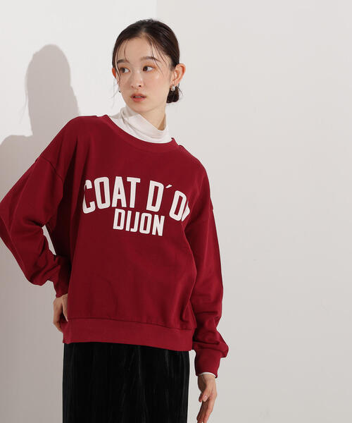 N.（N. Natural Beauty Basic）（エヌエヌナチュラルビューティーベーシック）の「レタリングオーバースウェット（スウェット・レディース・バーガンディー/ヘザーグレー/チャコールグレー・MEDIUM）」の15枚目の写真