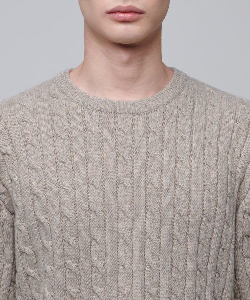 MUSINSA STANDARD(ムシンサスタンダード)の「ケーブルクルーネックニット【オートミル】(ニット/セーター・メンズ・その他・SMALL/MEDIUM/LARGE/X-LARGE/XX-LARGE)」の5枚目の写真