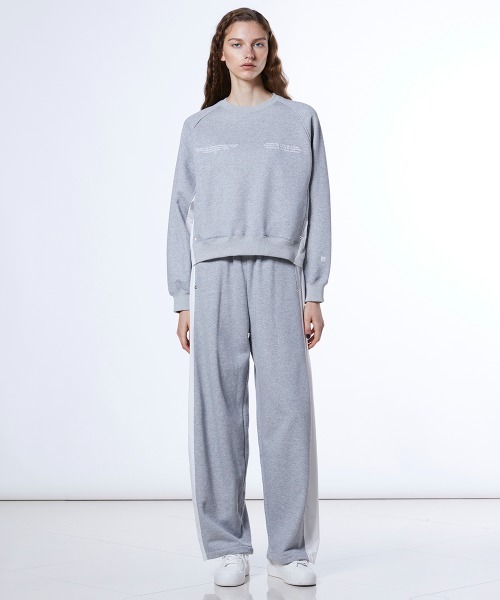 ESSENTIAL（エッセンシャル）の「裏毛タフタドッキングパンツ（その他パンツ・レディース・グレー/ブラック・38/36）」の16枚目の写真