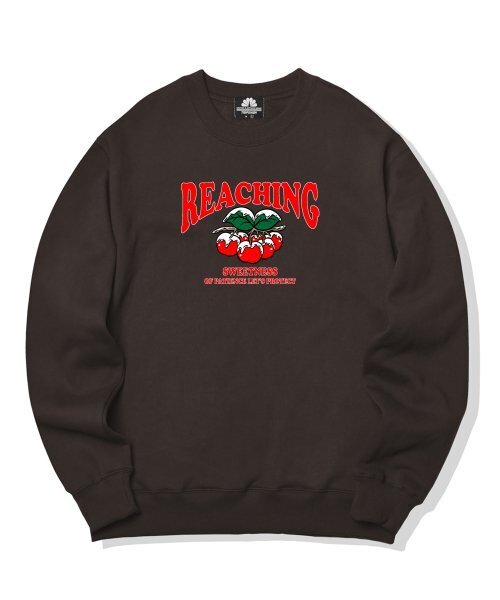 TRIPSHION(トリップション)の「スノウイチェリーグラフィック クルーネック - ブラウン(スウェット・メンズ・その他・LARGE/MEDIUM/X-LARGE)」の1枚目の写真