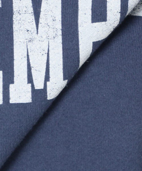 FRAMeWORK（フレームワーク）の「≪WEB限定 / ≫プリントスウェット（Tシャツ/カットソー・レディース・ベージュ/チャコールグレー・FREE）」の16枚目の写真