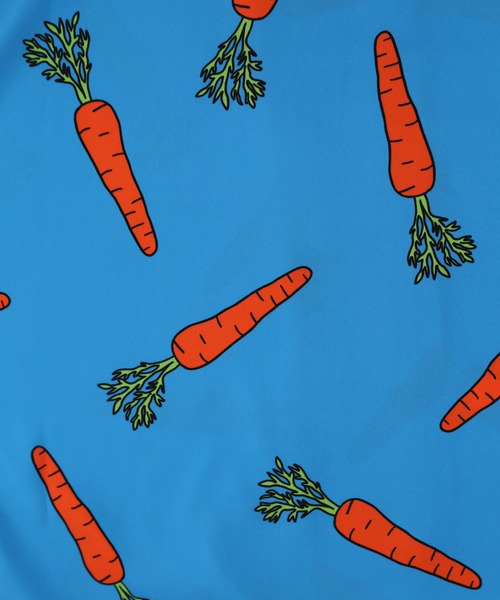 PUNYUS(プニュズ)の「野菜柄シャツ(シャツ/ブラウス・レディース・ブルー/ピンク/イエロー・1/2/3/4)」の9枚目の写真