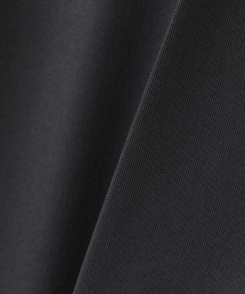 N.（N. Natural Beauty Basic）（エヌエヌナチュラルビューティーベーシック）の「◆センタープレスストレートパンツ（その他パンツ・レディース・チャコールグレー/ベージュ/パープル・MEDIUM）」の21枚目の写真