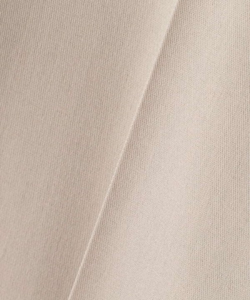 N.（N. Natural Beauty Basic）（エヌエヌナチュラルビューティーベーシック）の「◆センタープレスストレートパンツ（その他パンツ・レディース・チャコールグレー/ベージュ/パープル・MEDIUM）」の19枚目の写真