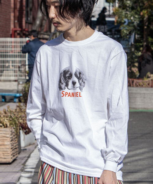 GLOSTER（グロスター）の「《22SS再登場！》【GLOSTER/グロスター】DOG&CAT 犬猫プリントロンT（Tシャツ/カットソー・メンズ・ホワイト系その他/ホワイト系その他2/ホワイト系その他3/ホワイト系その他4/ホワイト系その他5・MEDIUM/LARGE）」の19枚目の写真