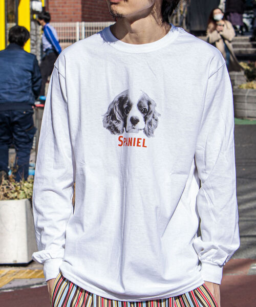 GLOSTER（グロスター）の「《22SS再登場！》【GLOSTER/グロスター】DOG&CAT 犬猫プリントロンT（Tシャツ/カットソー・メンズ・ホワイト系その他/ホワイト系その他2/ホワイト系その他3/ホワイト系その他4/ホワイト系その他5・MEDIUM/LARGE）」の20枚目の写真