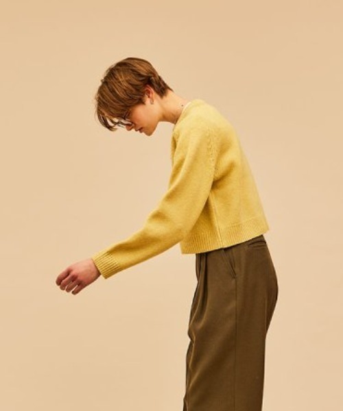 THE SHINZONE（ザ　シンゾーン）の「THE SHINZONE SHORT SHAKER SWEATER 22AMSNI04（ニット/セーター・レディース・パープル/ブラウン/グレー/イエロー・FREE）」の4枚目の写真