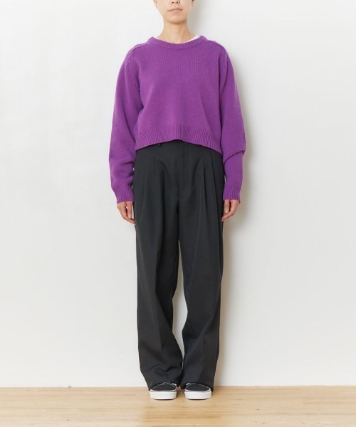 THE SHINZONE（ザ　シンゾーン）の「THE SHINZONE SHORT SHAKER SWEATER 22AMSNI04（ニット/セーター・レディース・パープル/ブラウン/グレー/イエロー・FREE）」の10枚目の写真