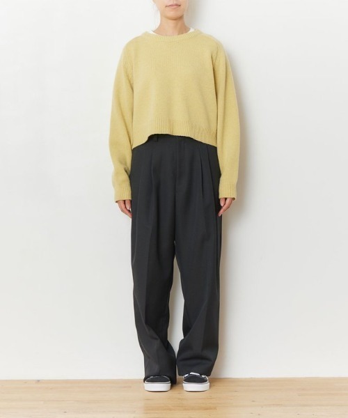 THE SHINZONE（ザ　シンゾーン）の「THE SHINZONE SHORT SHAKER SWEATER 22AMSNI04（ニット/セーター・レディース・パープル/ブラウン/グレー/イエロー・FREE）」の11枚目の写真