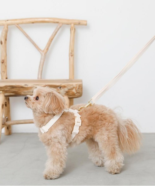 moncheri（モンシェリ）の「コットンライクハーネス（リード/ハーネス/首輪・レディース・モカ/ベージュ/アイボリー・S/M）」の5枚目の写真