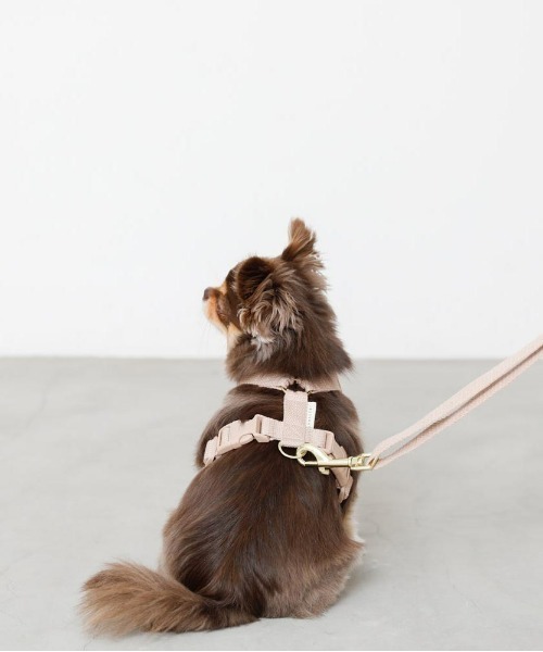 moncheri（モンシェリ）の「コットンライクハーネス（リード/ハーネス/首輪・レディース・モカ/ベージュ/アイボリー・S/M）」の8枚目の写真