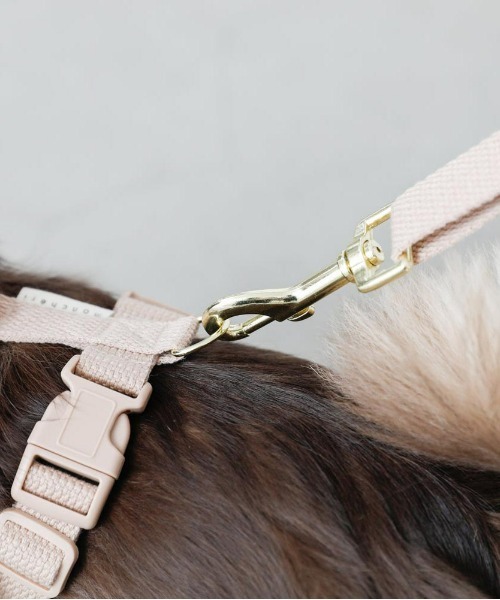 moncheri（モンシェリ）の「コットンライクハーネス（リード/ハーネス/首輪・レディース・モカ/ベージュ/アイボリー・S/M）」の15枚目の写真